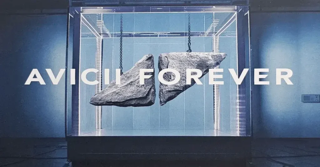 Avicii Forever vinyl review