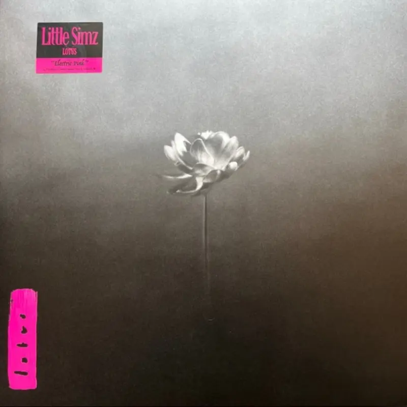 Little Simz Lotus Vinyl Review (2)