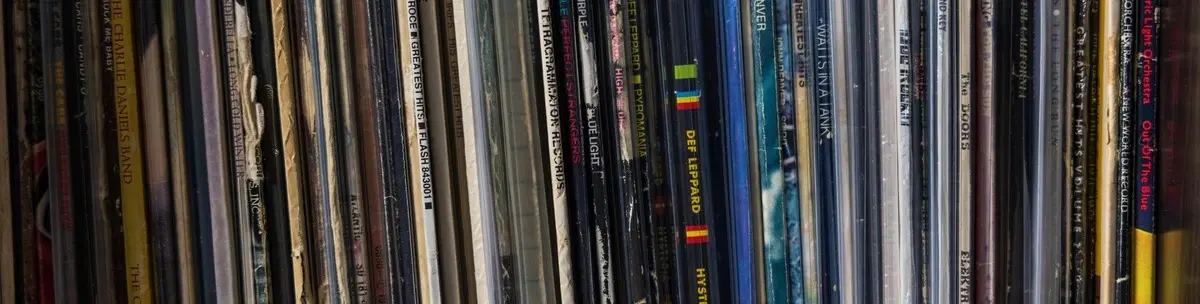 latest vinyl additions